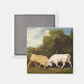 George Stubbs | Bulls Fighting, 1786 (Öl auf Tafel Magnet (Vorderseite/Rückseite)