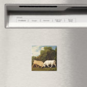 George Stubbs | Bulls Fighting, 1786 (Öl auf Tafel Magnet (In Situ (Geschirrspüler))