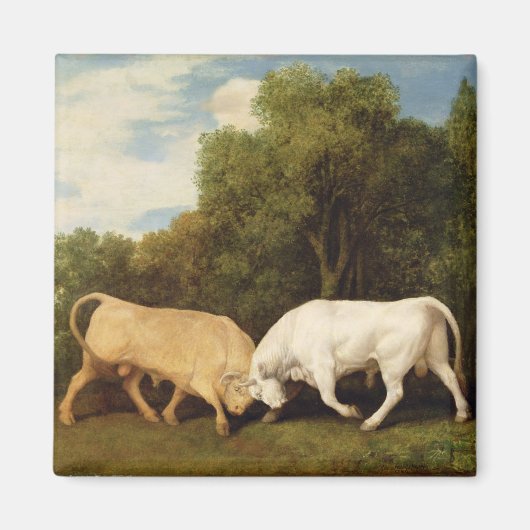George Stubbs | Bulls Fighting, 1786 (Öl auf Tafel Magnet (Vorne)