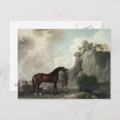 George Stubbs | Cato' and Groom Postkarte (Vorne/Hinten)