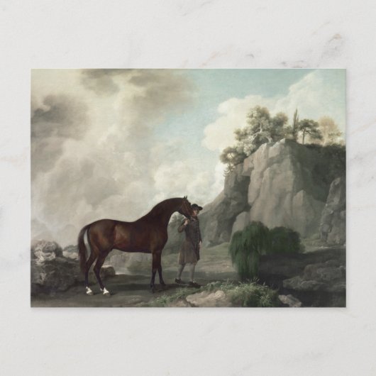 George Stubbs | Cato' and Groom Postkarte (Vorderseite)