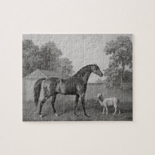 George Stubbs   Dungannon, graviert durch George Puzzle