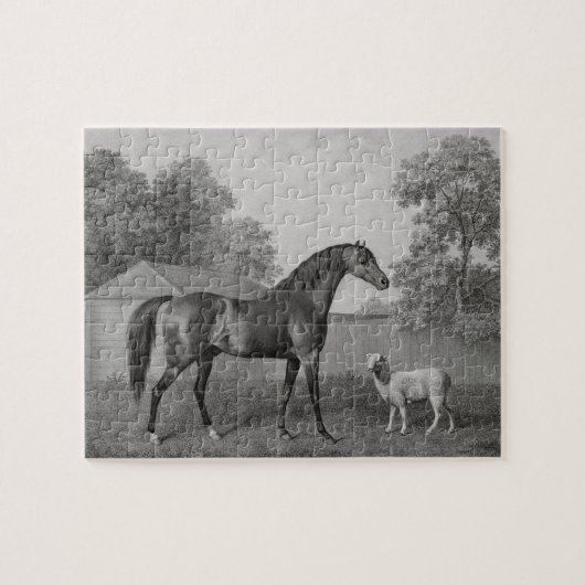 George Stubbs | Dungannon, graviert durch George Puzzle (Horizontal)