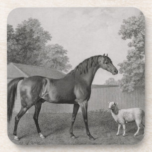 George Stubbs Dungannon, graviert durch George Untersetzer