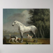 George Stubbs - Ein Apfelgrau-Jäger Poster (Vorne)