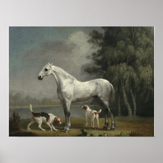 George Stubbs - Ein Apfelgrau-Jäger Poster (Vorne)