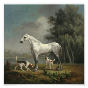 George Stubbs - ein Apfelgrauer Jäger Fotodruck
