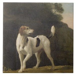 George Stubbs   ein Foxhound, c.1760 (Öl auf Fliese