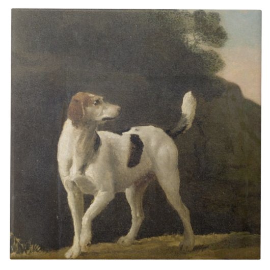 George Stubbs | ein Foxhound, c.1760 (Öl auf Fliese (Vorderseite)