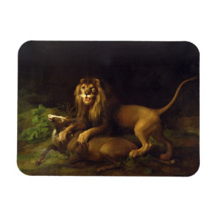 George Stubbs ein Löwe, der einen Hirsch, c.176 Magnet