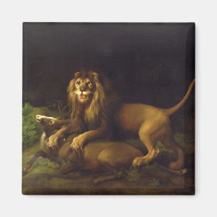 George Stubbs ein Löwe, der einen Hirsch, c.176 Magnet