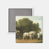 George Stubbs | Ein Phaeton mit einem Paar Creme P Magnet (Vorderseite/Rückseite)