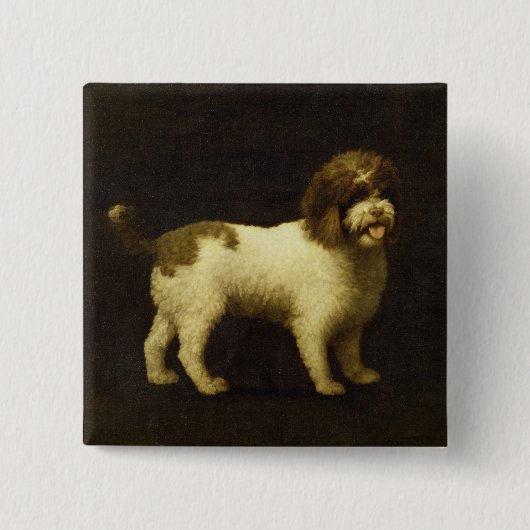 George Stubbs | ein WasserSpaniel, 1769 (Öl auf Button (Vorderseite)
