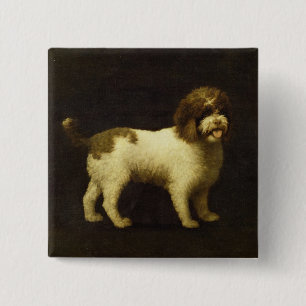 George Stubbs ein WasserSpaniel, 1769 (Öl auf Button