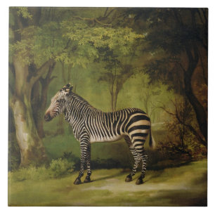 George Stubbs   ein Zebra, 1763 (Öl auf Leinwand) Fliese