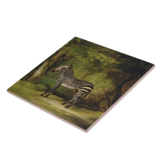 George Stubbs | ein Zebra, 1763 (Öl auf Leinwand) Fliese (Seite)