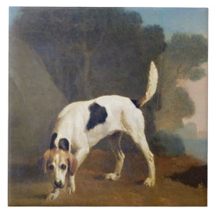 George Stubbs   Foxhound auf dem Geruch, c.1760 Fliese