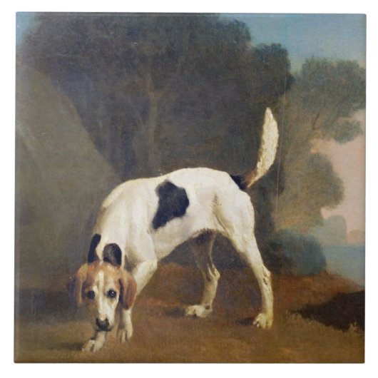 George Stubbs | Foxhound auf dem Geruch, c.1760 Fliese (Vorderseite)
