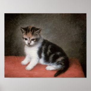 George Stubbs   Frau Ann White's Kitten, 1790 Poster