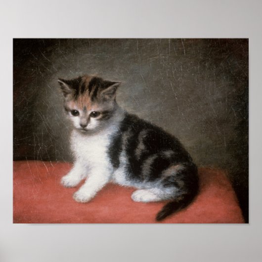 George Stubbs | Frau Ann White's Kitten, 1790 Poster (Vorne)