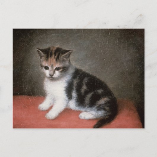 George Stubbs | Frau Ann White's Kitten, 1790 Postkarte (Vorderseite)