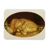 George Stubbs | Leopard, 1777 (Emaille on Magnet (Horizontal)