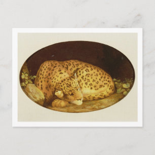 George Stubbs   Leopard, 1777 (Emaille on Postkarte