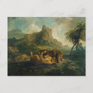 George Stubbs Leopards at Play, c.1763-8 Postkarte