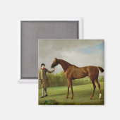 George Stubbs | Luster, gehalten von einem Groom, Magnet (Vorderseite/Rückseite)