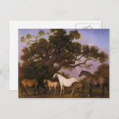 George Stubbs - Mares and Foals under a Oak Tree Postkarte (Vorne/Hinten)