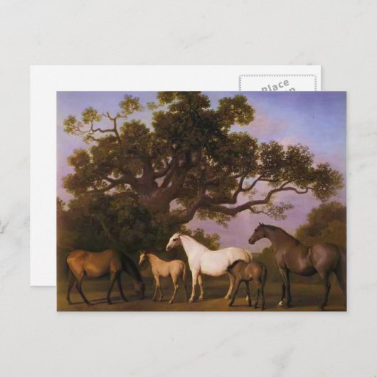 George Stubbs - Mares and Foals under a Oak Tree Postkarte (Vorne/Hinten)