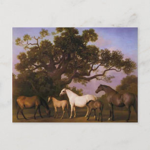 George Stubbs - Mares and Foals under a Oak Tree Postkarte