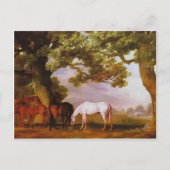 George Stubbs - Mares & Foals in einer waldreichen Postkarte (Vorderseite)