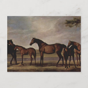 George Stubbs-Mares, Fohlen vor einem drohenden St Postkarte