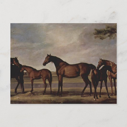 George Stubbs-Mares, Fohlen vor einem drohenden St Postkarte (Vorderseite)