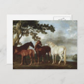 George Stubbs-Mares und Foals in einer Flusslandsc Postkarte (Vorne/Hinten)