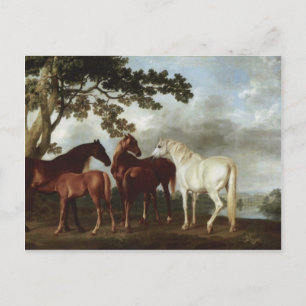 George Stubbs-Mares und Foals in einer Flusslandsc Postkarte