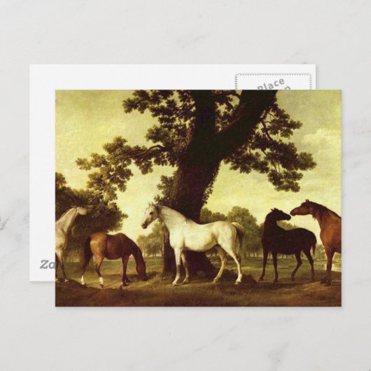 George Stubbs Postkarte (Vorne/Hinten)