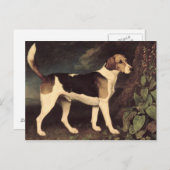 George Stubbs | Ringwood, a Brocklesby Foxhound, 1 Postkarte (Vorne/Hinten)
