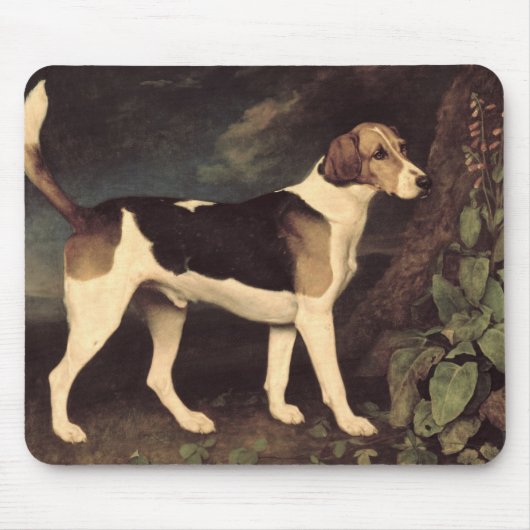 George Stubbs | Ringwood, ein Brocklesby Foxhound, Mousepad (Vorne)