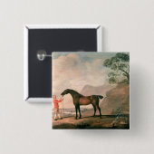 George Stubbs | Scapeflood Button (Vorne & Hinten)