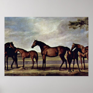 George Stubbs - Stuten vor einem bevorstehenden Poster