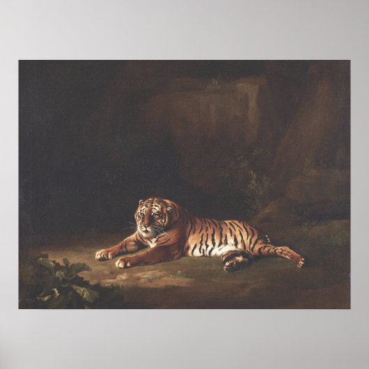 George Stubbs Tiger Malerei Art Print Poster (Vorne)