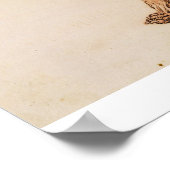 George Stubbs | Tiger, seitliche Sicht, Haut entfe Poster (Ecke)