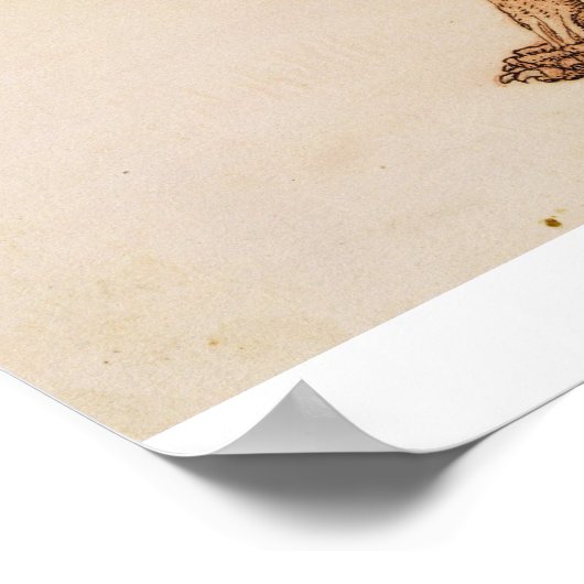 George Stubbs | Tiger, seitliche Sicht, Haut entfe Poster (Ecke)