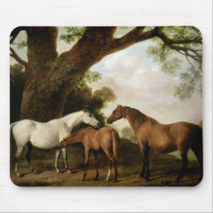 George Stubbs Two Shafto Mares and a Foal, 1774 Mousepad