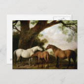 George Stubbs | Two Shafto Mares and a Foal, 1774 Postkarte (Vorne/Hinten)