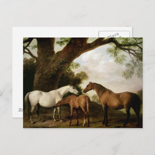 George Stubbs | Two Shafto Mares and a Foal, 1774 Postkarte (Vorne/Hinten)