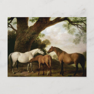 George Stubbs   Two Shafto Mares and a Foal, 1774 Postkarte
