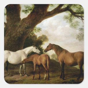George Stubbs   Two Shafto Mares and a Foal, 1774 Quadratischer Aufkleber